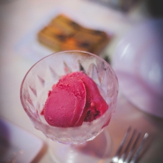 sorbet