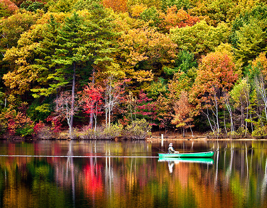 waldenpond - Concord's Colonial Inn