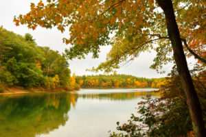 Photo of Walden Pond. Click Here for 15 Fall Activities in Massachusetts.