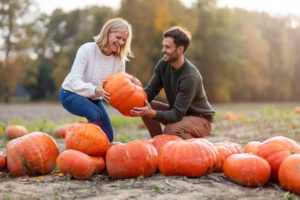 Photo of a Couple Picking a Pumpkin in a Patch. Click Here for 20 Fall Date Ideas.